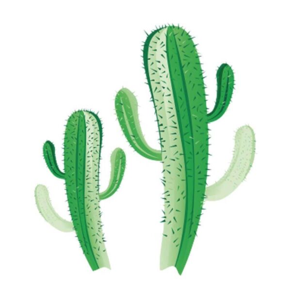 Inawera Cactus - 100ml