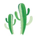 Inawera Cactus - 10ml